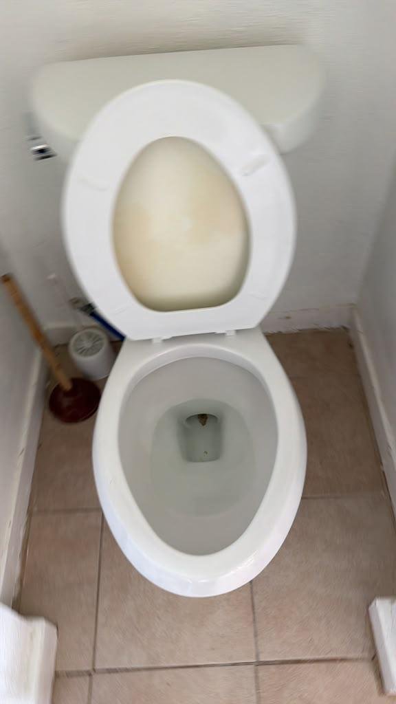 Bathroom Clean After Santos Shine